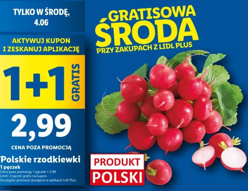 rzodkiewka