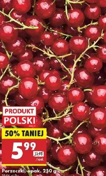 porzeczka czerwona