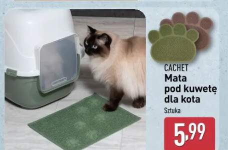 mata