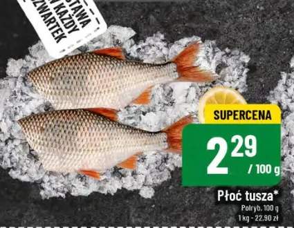 płoć tusza