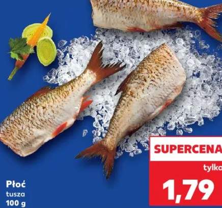 płoć tusza