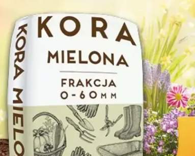 kora ogrodowa