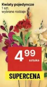 kwiaty