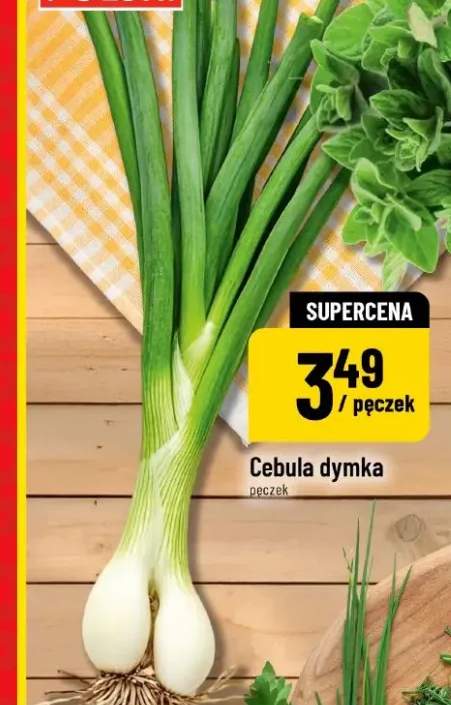 cebula dymka