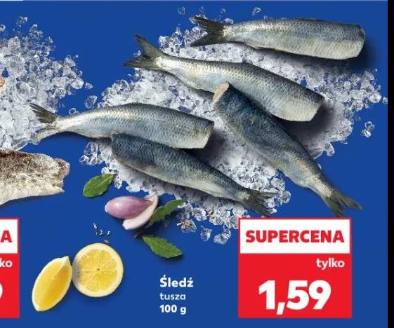 śledź tusza