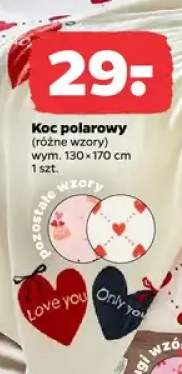 koc polarowy