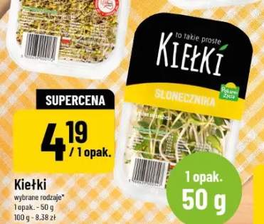 Kiełki słonecznika