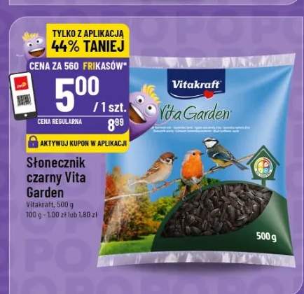 Słonecznik czarny Vita Garden