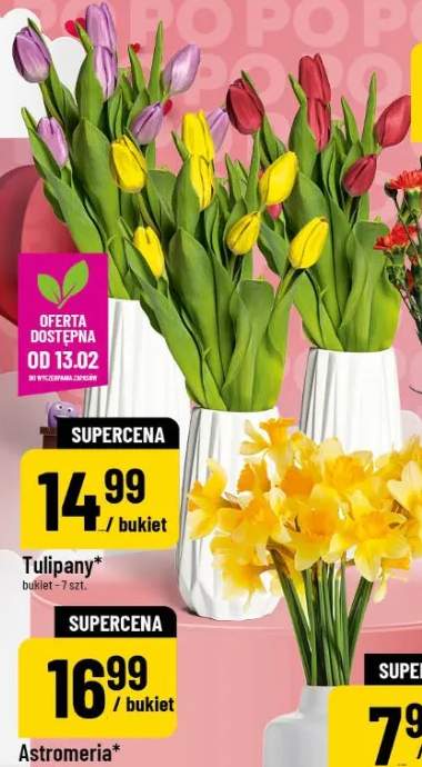 Tulipany