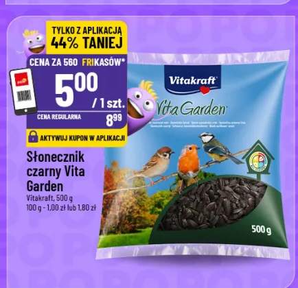 Słonecznik czarny Vita Garden