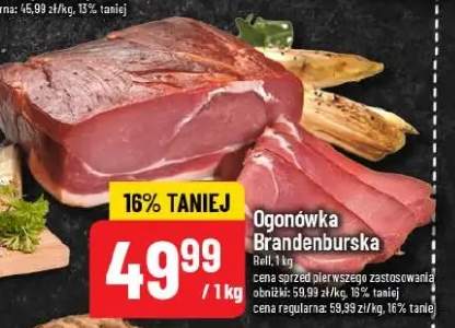 Ogonówka Brandenburska