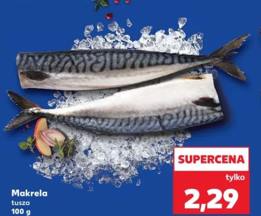 makrela tusza