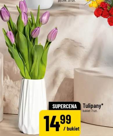 Tulipany