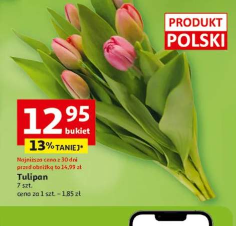 tulipany