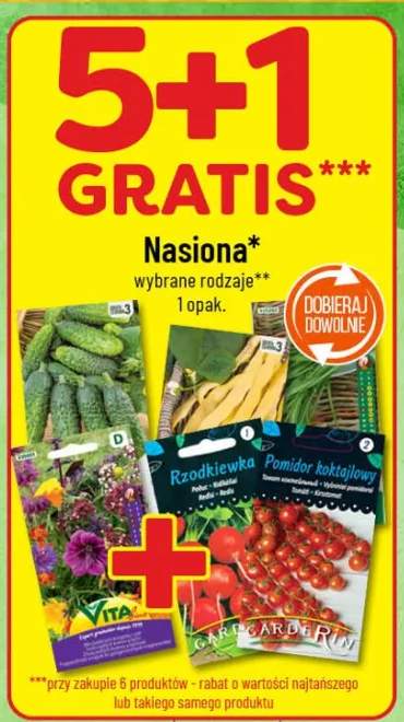 Nasiona wybrane rodzaje