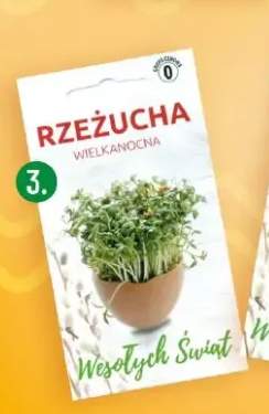 Rzeżucha wielkanocna