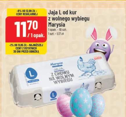 Jaja L od kur z wolnego wybiegu
