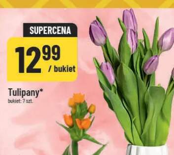 Tulipany