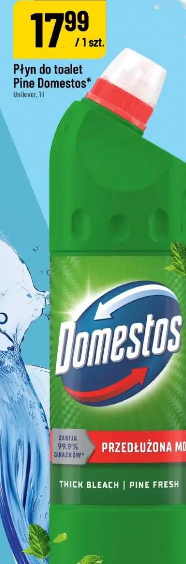 Płyn do toalet Pine