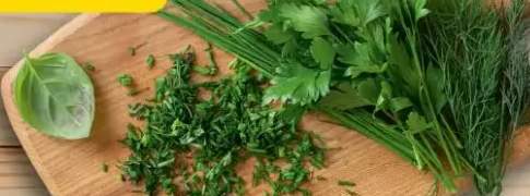 Koperek, natka pietruszki lub szczypiorek pęczek