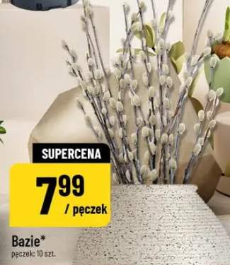 Bazie pęczek: 10 szt.