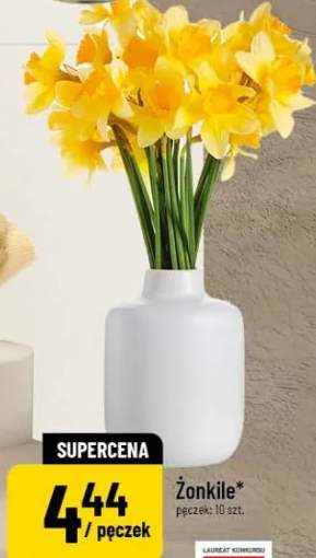 Żonkile pęczek: 10 szt.