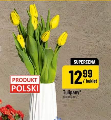 Tulipany 5 szt/szt.