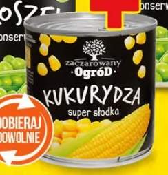 Kukurydza konserwowa