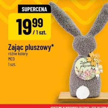 Zając pluszowy