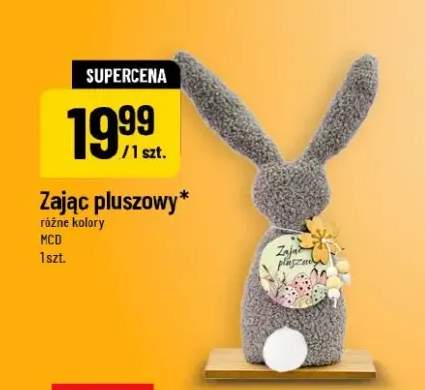 Zając pluszowy