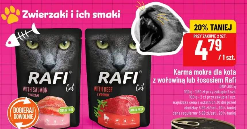 Karma mokra dla kota z wołowiną lub łososiem