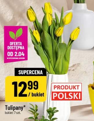 Tulipany