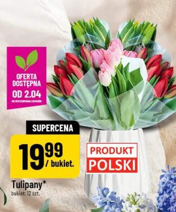 Tulipany