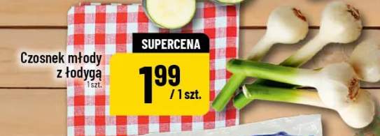 Czosnek młody z łodygą