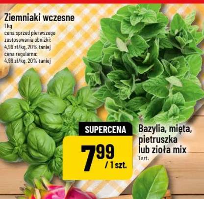 Bazylia, mięta, pietruszka lub ziołą mix