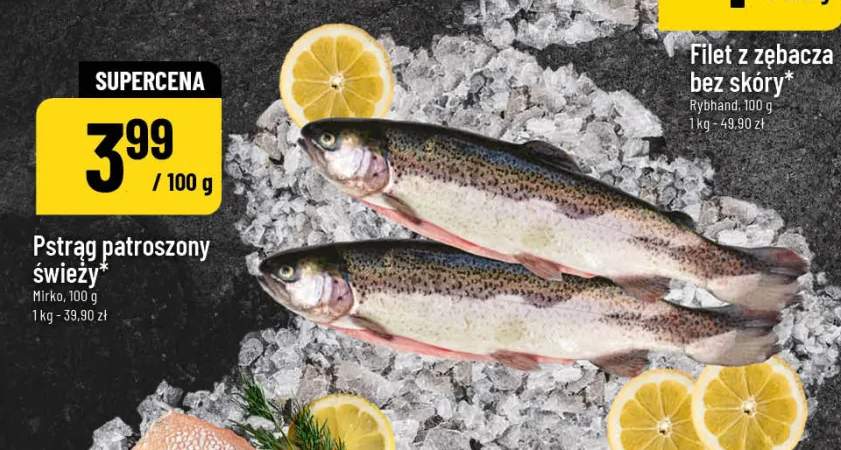 Filet z zębacza bez skóry