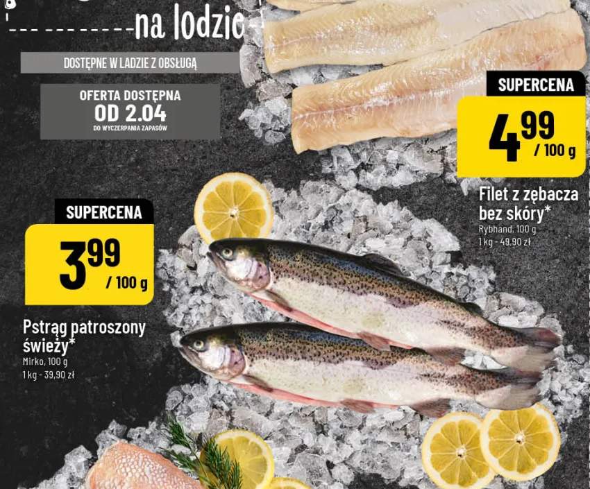 Pstrąg patroszony świeży