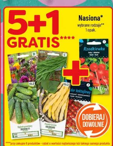 Nasiona wybrane rodzaje