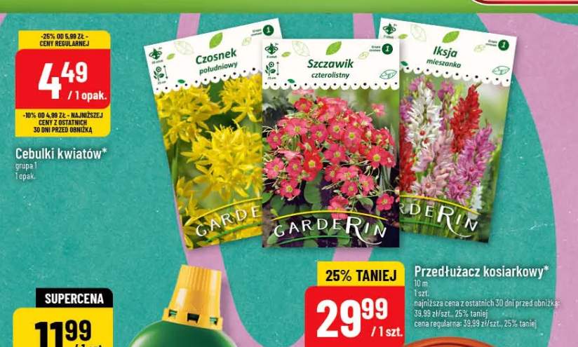 Cebulki kwiatów grupa 1