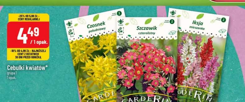 Cebulki kwiatów grupa 1