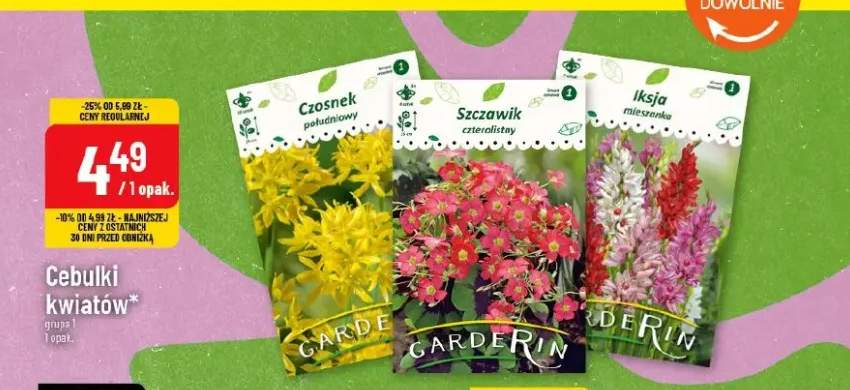 Cebulki kwiatów grupa I