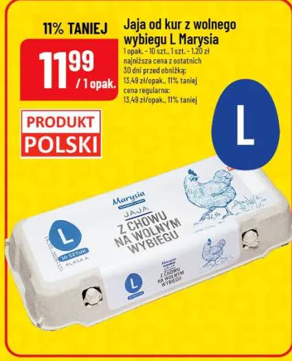 Jaja od kur z wolnego wybiegu L