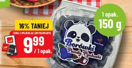 Borówki Pandy Pychotki