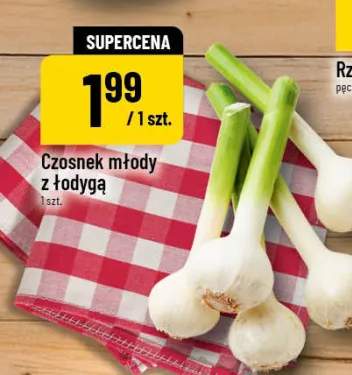 Czosnek młody z łodygą