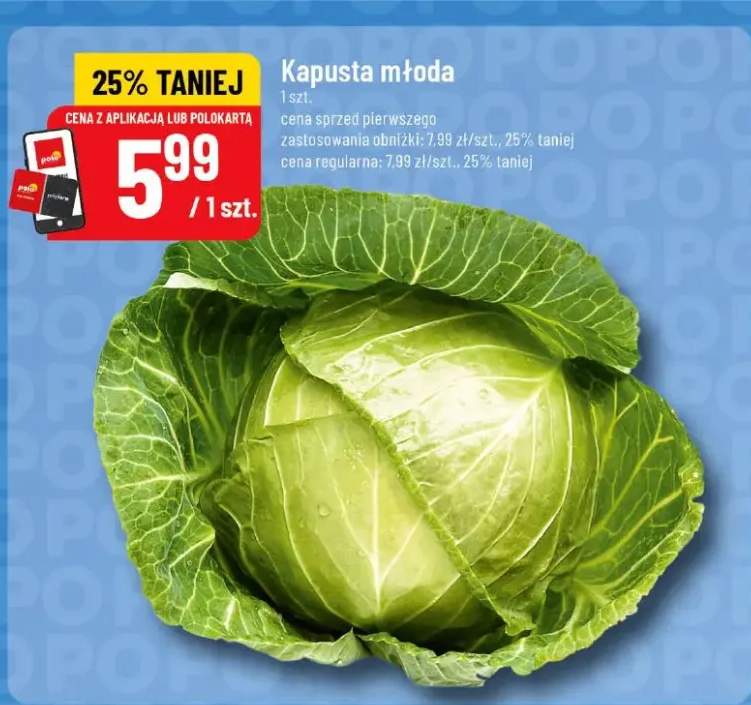 Kapusta młoda
