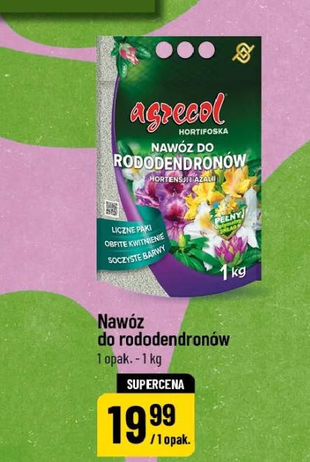 Nawóz do rododendronów