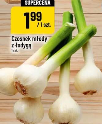 Czosnek młody z łodygą