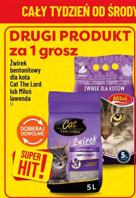 Żwirek bentonitowy dla kota Miluś lawenda