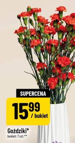 Goździki bukiet 7szt.