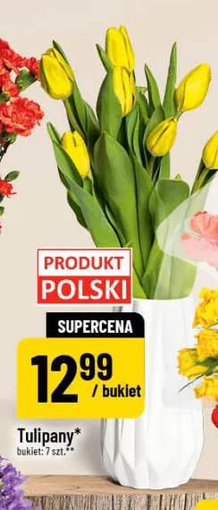 Tulipany bukiet 7szt.